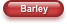 Barley