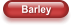 Barley