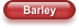 Barley
