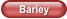 Barley