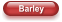 Barley