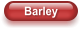 Barley