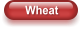 Wheat