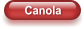 Canola
