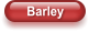 Barley