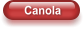 Canola