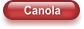 Canola