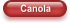 Canola