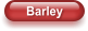 Barley