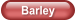 Barley