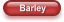 Barley