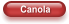 Canola