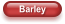 Barley