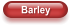Barley