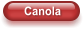 Canola