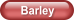 Barley