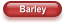 Barley