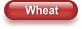 Wheat