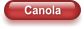Canola