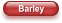 Barley