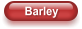 Barley